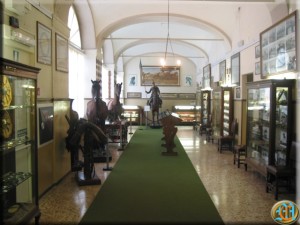 Galleria cavallo d'arme e sportivo copia