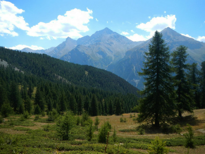 parchi naturali pinerolo